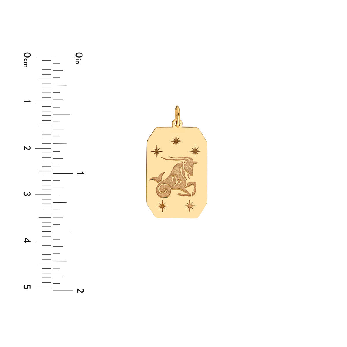 Capricorn Engraved Pendant