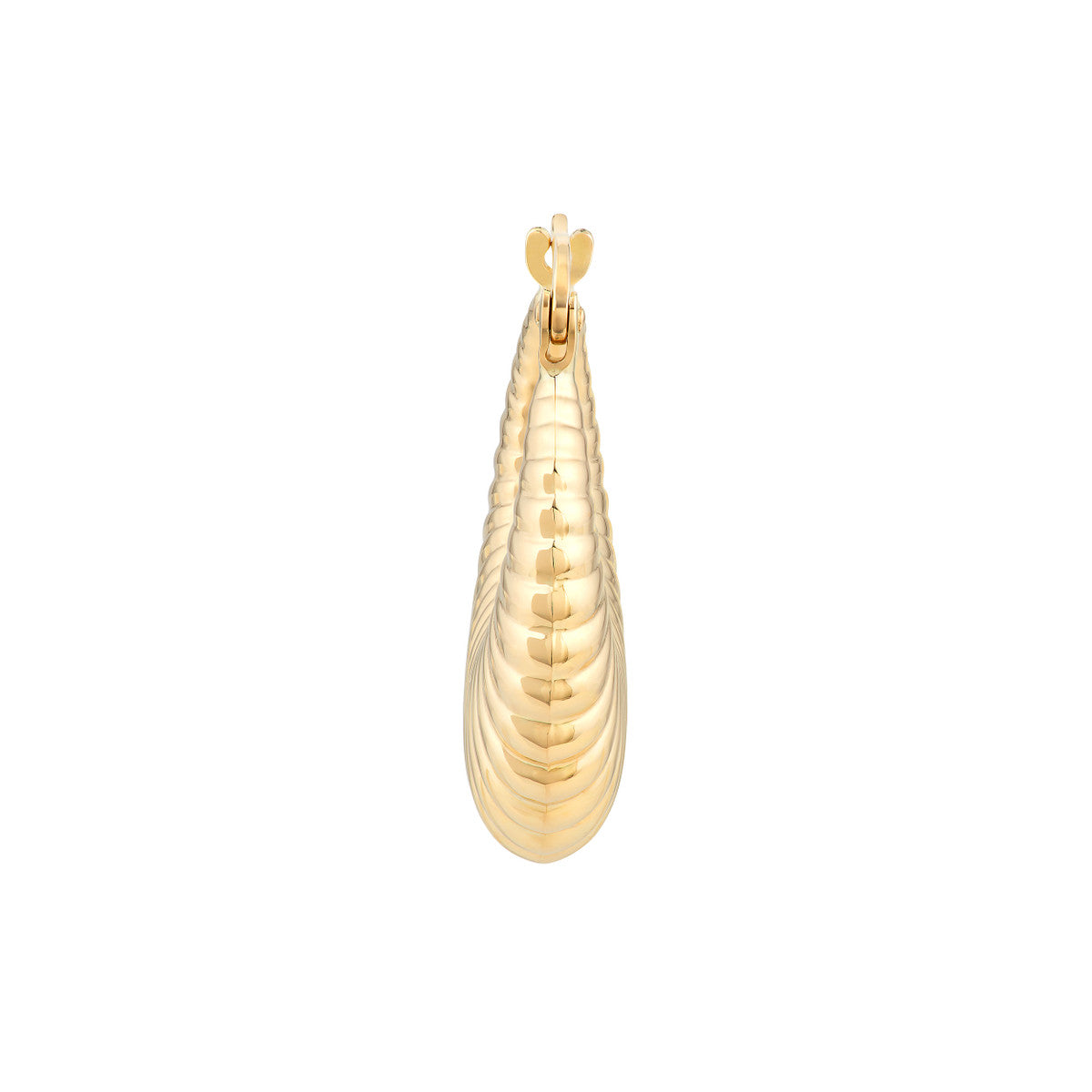 Shrimp Hoop Earrings