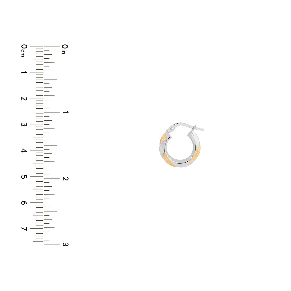 Two-Tone Twisted Round Hoop Earrings